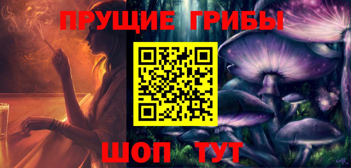 Псилоцибиновые грибы GOLDEN TEACHER Можайск