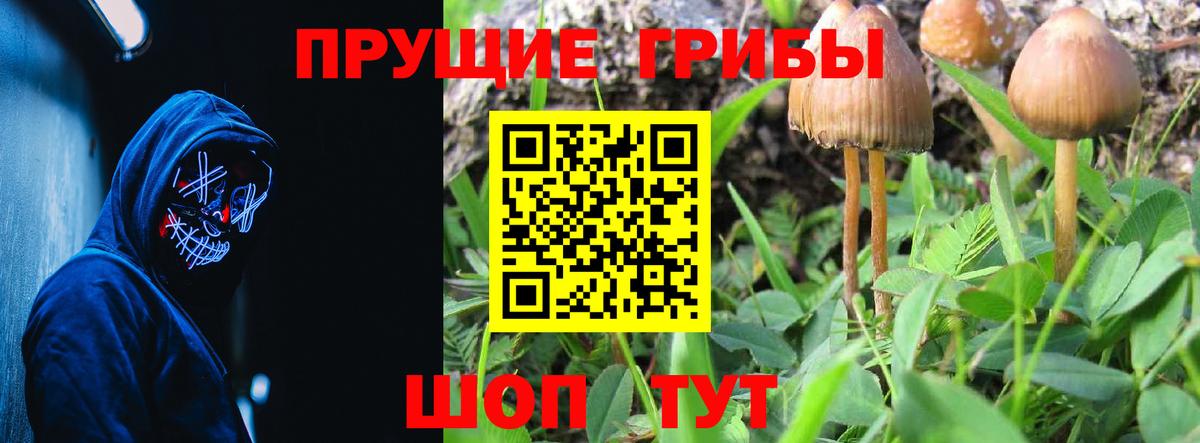 как найти закладки  Вход с VPN  Можайск  Галлюциногенные грибы Psilocybe 